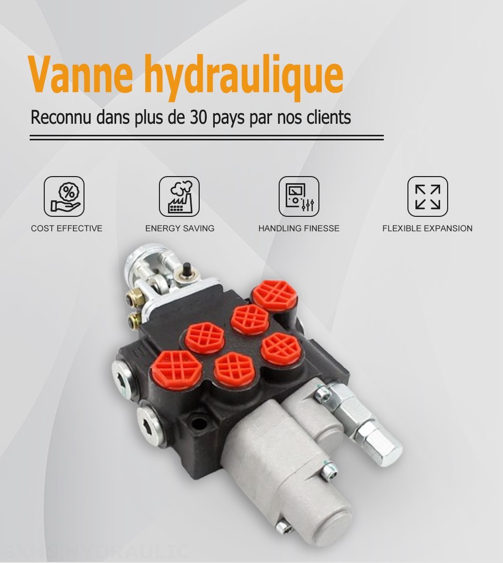 P40-G12-G38-OT-QTW Manuel et manette 2 distributeurs Distributeur directionnel monobloc